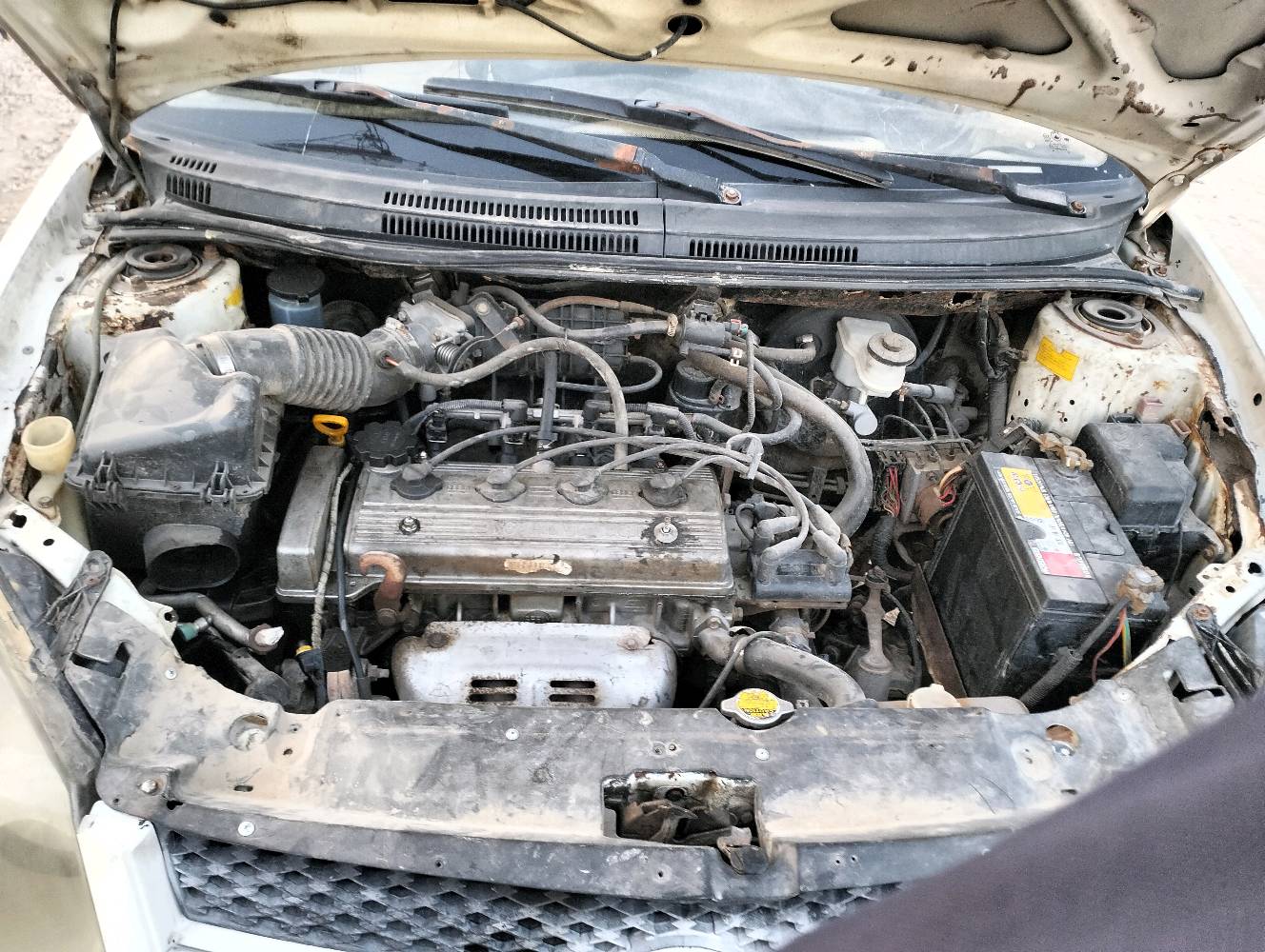 ​للبيع: جيلي سيدان موديل [2011]
​النوع: جيلي (Geely)
​الطراز: MK
​المحرك: 1.6 لتر، 4 سلندر
​ناقل الحركة: يدوي (مانيوال)
​اللون: أبيض
​اللوحة: بابل القاسم  جمعيه ( العراق)
​حالة السيارة:
السيارة بحالة ميكانيكية جيدة، تعمل وتسير بشكل نظامي. المحرك والجير بحالة ممتازة. السيارة بحاجة لبعض الاهتمام التجميلي البسيط (سمكرة وبويا وتنظيف داخلي) لتصبح بحالة مثالية.
​
​يوجد بعض الصدأ في الرفارف الخلفية كما هو معتاد في هذا الموديل.

كامل الاوراق اصوليه وكامله  وصاحب السياره من اهالي الديوانيه ويمكن التحويل بالاتصال مع صاحب السياره الاصلي ونطيك رقم المالك الاصلي بعد الشراء 

​السعر المطلوب:
25 ورقة 
السعر قابل للتفاوض للجادين بالمعقول.
​
للتواصل والاستفسار:
يرجى الاتصال على الرقم: [***********]
(متوفر أيضًا عبر واتساب)