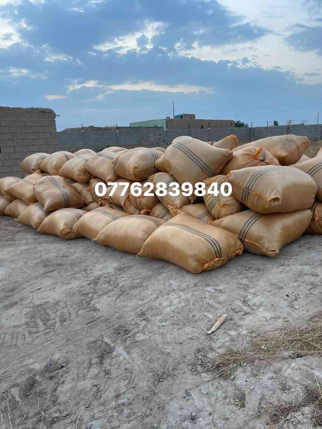 تبن ماش • عازل