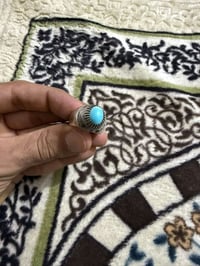 لبه نيشابوري • سعر خاص • للبيع