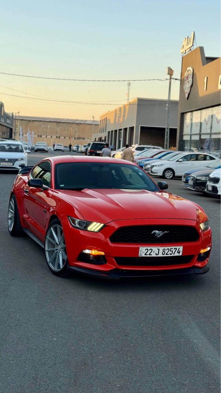 Ford Mustang v6 orange 2015
فورد موستنك 6 سلندر 🔥
اللون برتقالي مميز 🧡
المديل 2015
المحرك 3700 v6 المرغوب
كير اوتماتيك
كير ومكينة شرط 
مواصفات الستة المعروفه 
بصمة تشغيل وتشغيل عن بعد 
دخل ذكي بصمة ابواب 
شاشه صغيره وكامرة 
تحكم ستيرن شفتات ستيرن
مثبت سرعة 
عليها ويل Vossen VFS-1 توسايز 
ودفيوزر ولحية امامية ولدات سموك 
سبويلر مال gt حلوك كزوز كاربون فايبر 
سستم كاربون فايبر للداخل 
حادثها جاملغ خلفي صبغ وقطعتين كلير (جاملغ امامي وباب السايق)بدون دواخل بدون ايرباك شرط 
السياره جاهزه ونظيفه ومسويلها ادامه كامله ومابيها نقص ونصبتها حيل حلوه بلعافية على الياخذها 
 مكان السيارة بلموصل معرض الركن الذهبي 
السعر 145 وبيها مجال 
للتواصل *********** موصل, نينوى
