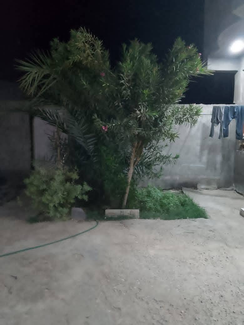 بناء حديث • ٢٥٠م • غرفتين