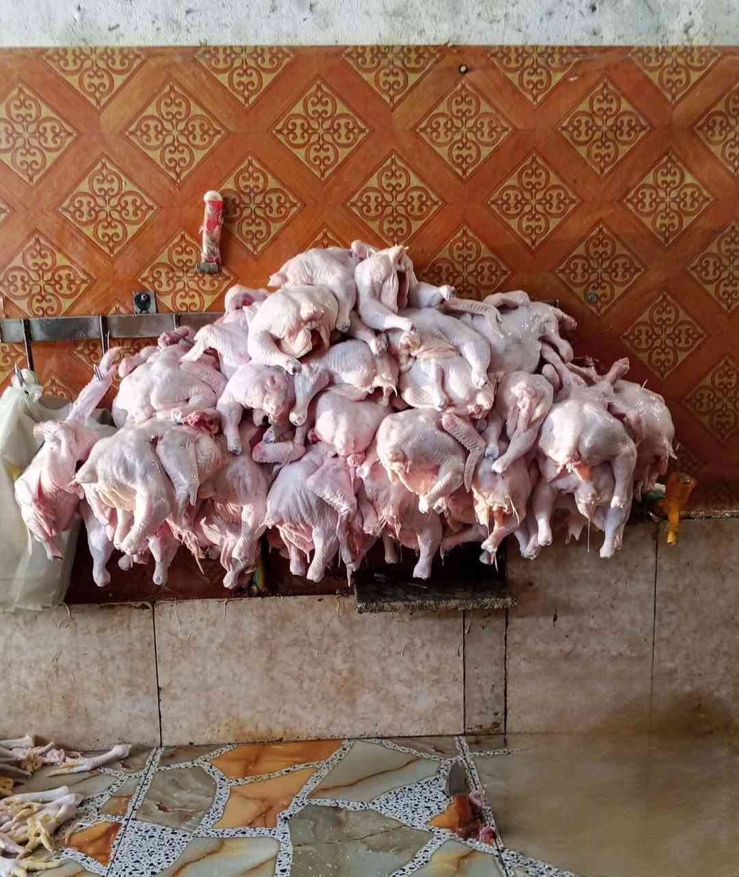 دجاج حي • تجهيز مناسبات • الرشيد الخروجيه