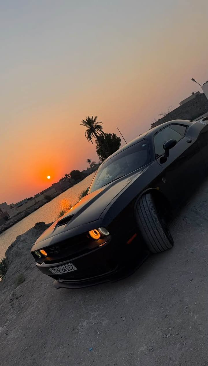جالنجر SXT بلس • ٢٠٢١ • رقم أربيل