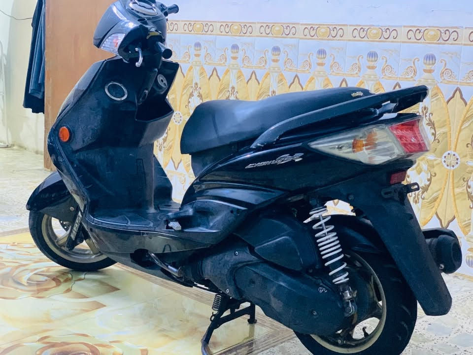 سكنس نوزل • فحل • نظيفه