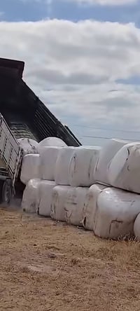 سيلاج • عرنوص مطحون • معبأ أكياس