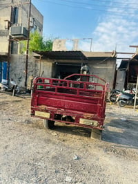 ستوته • ٢٠١٩ • صقر