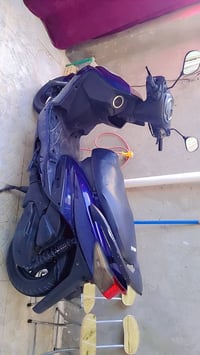 سكنس فحل • ياباني • نضيف