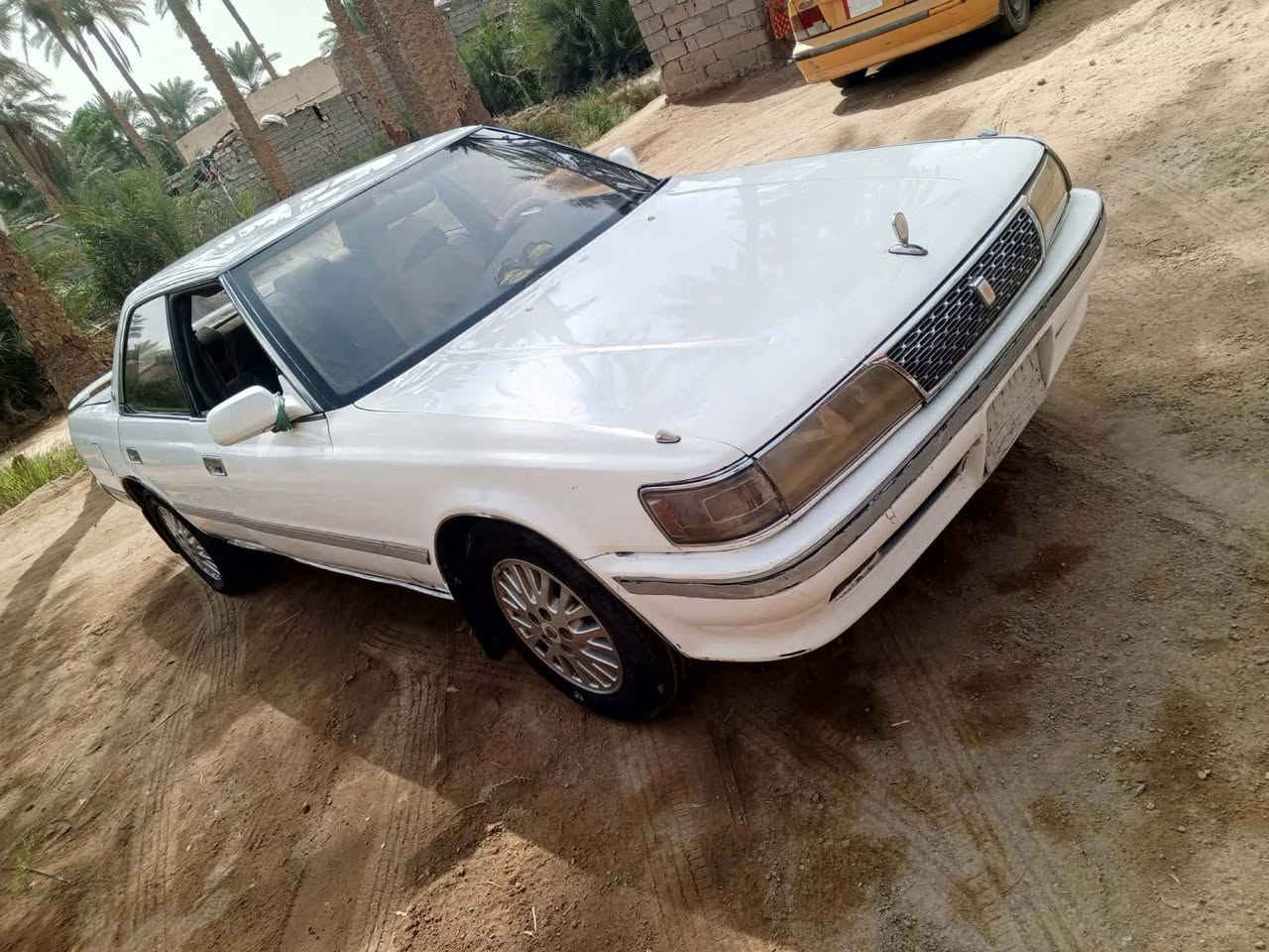 شيزر • ١٩٩٣ • الديوانية
