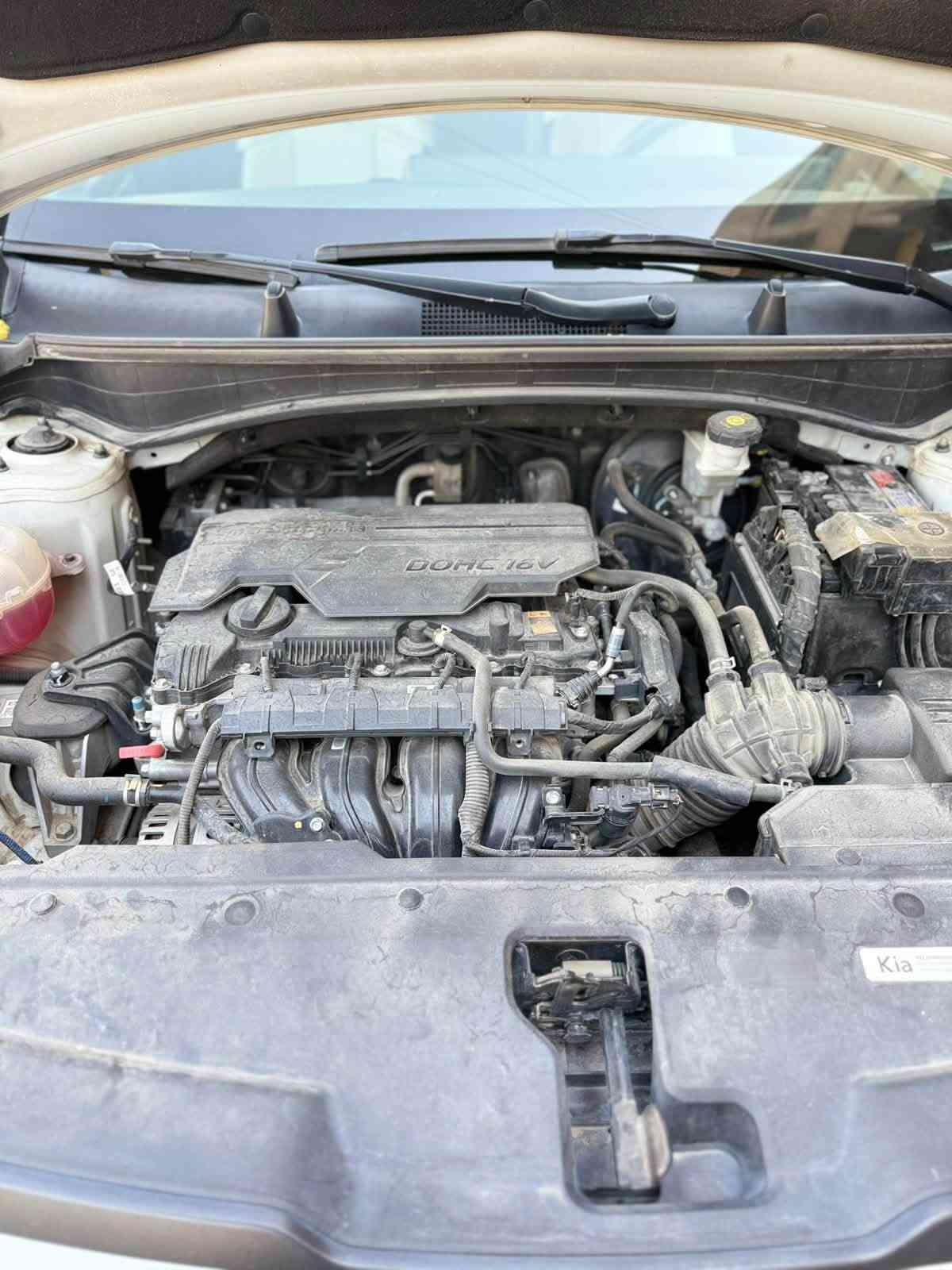 يالله السلام عليكم
كيه سبورتج موديل 23 خليجي مكفوله كفاله عامه 

ماشيه 64 كيلو🏎️ مكينه 2000 دوش 

موصفات عاديه معروفه  رقم اربيل بسمي  اتريد تحويل وكاله حاضر 

سياره موجوده بشارع فلسطين. هذا رقمي 

*********** تحياتي  

السعر 198 $ وبيهه مجال
