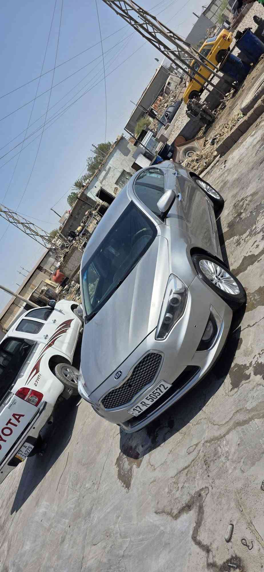 كادنزا خليجي • مصبوغة • كفالة الشركة