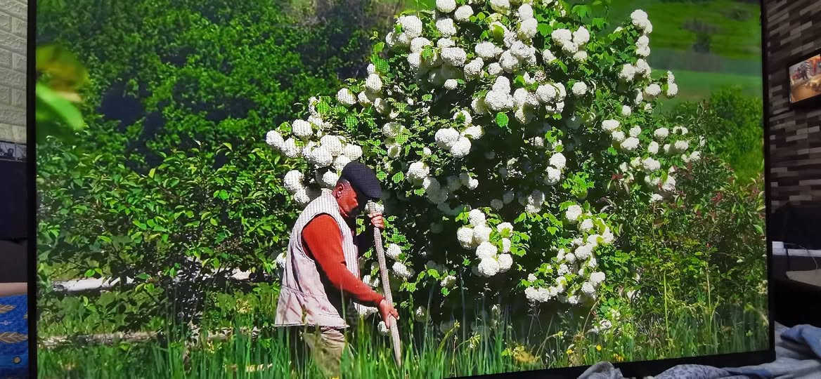 سلام عليكم اخواني عندي شاشه نوع ازاره صناعة تركية الحجم 43 اسمارت انترنت نضيف جدا السعر 200 الف جهاز حديث@ Frameless بدون إطار العنوان البياع حي الرساله الأولى قرب مدينة العاب الكرخ تلفون ***********
WhatsApp +964***********
سلام عليكم اخواني عندي شاشه نوع ازاره صناعة تركية الحجم 43 اسمارت انترنت نضيف جدا السعر 200 الف جهاز حديث@ Frameless بدون إطار العنوان البياع حي الرساله الأولى قرب مدينة العاب الكرخ تلفون ***********
