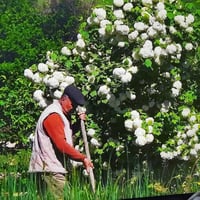 ازاره • ٤٣بوصة • سمارت