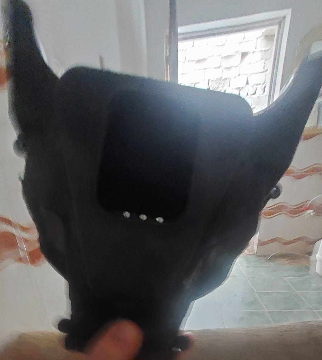 لايت هارلي • نضيف • الفلوجة