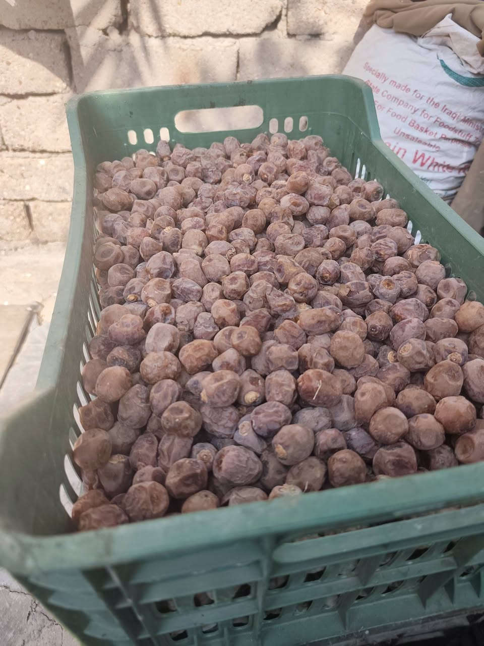 تمر برحي • درجة أولى • كمية محدودة