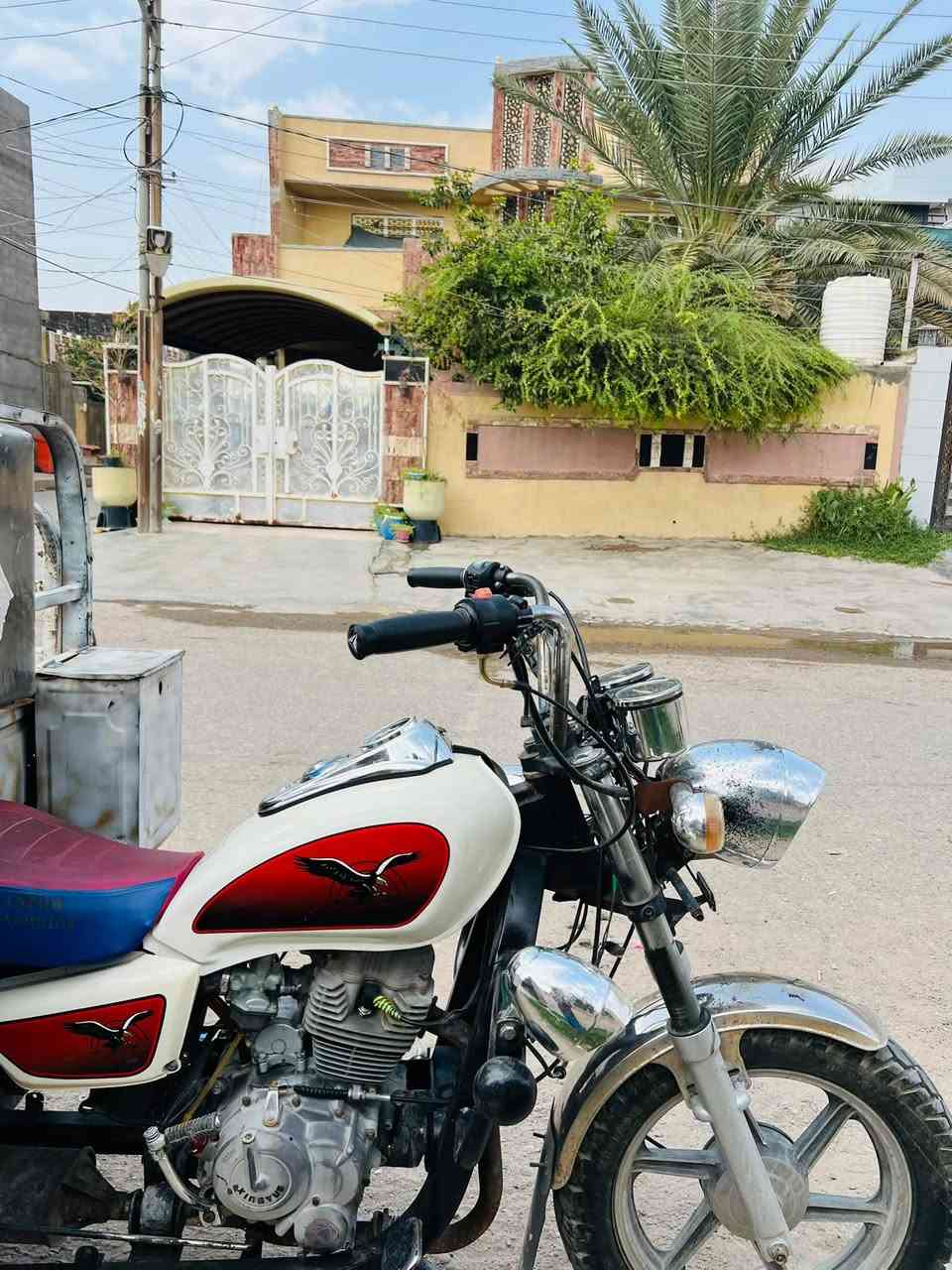 ستوته • موديل 19 • اوراق كامله