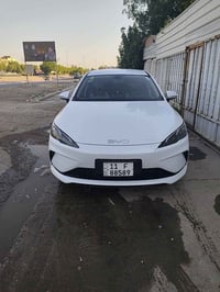 سيل 5 • ٢٠٢٥ • كفاله عامه