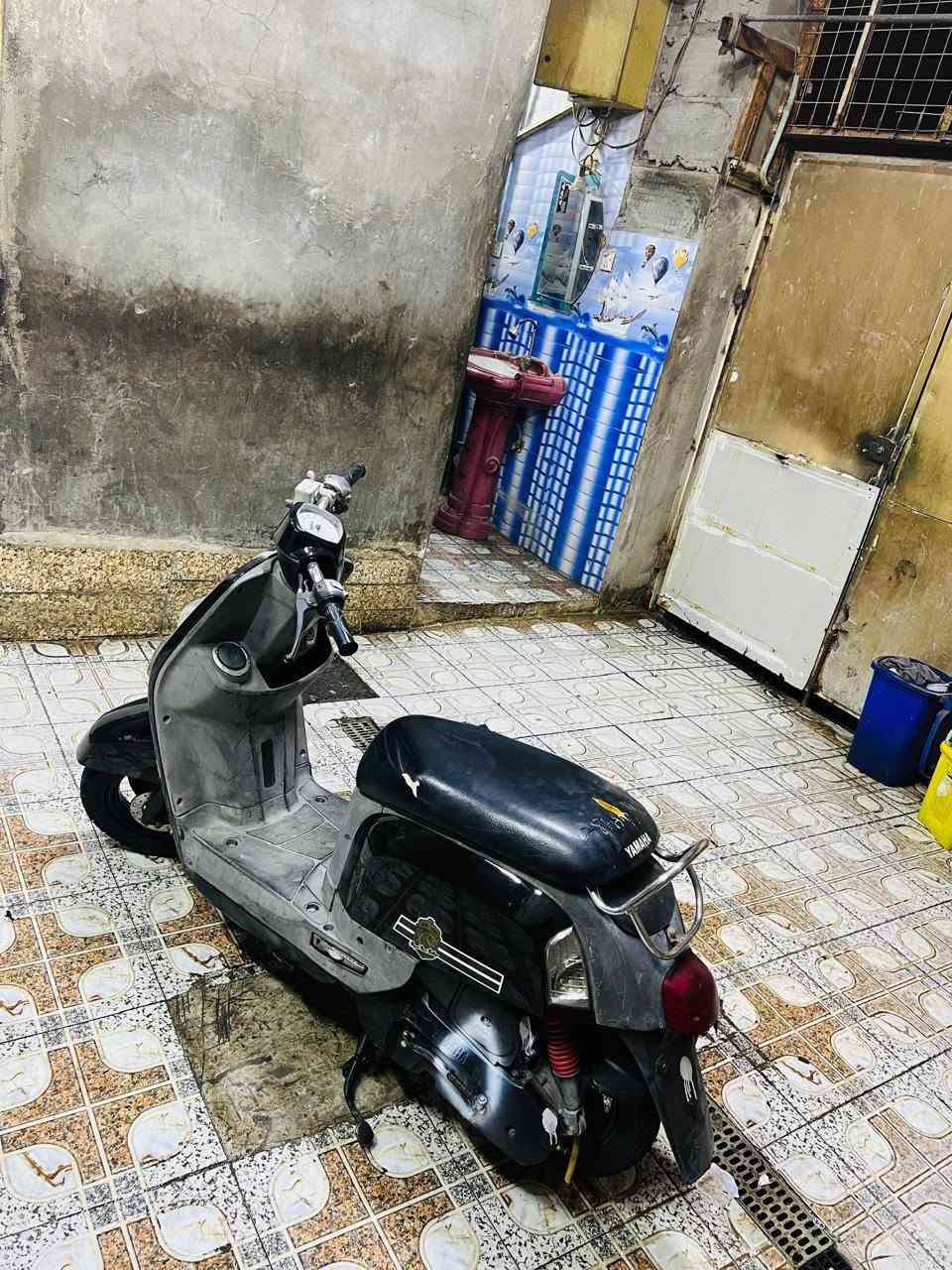 ماكس بوليسي • معدل فول • نضيفه