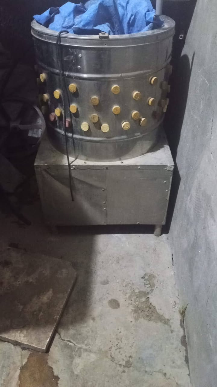 صلايه حجم وسط نوع تركي محوره يدوي تشتغل على كهرباء أيضا ماطور صينيه صابع ستندر كله جديد سعر ١٤٠ المكان بغداد مدينه الصدر رقم ***********
