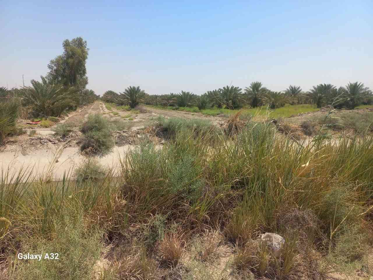 طريق سومر عفك • ٣ دوانم • طابو سند ٢٥