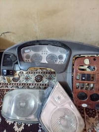 دشبول منغولي • كامل • ابي خصيب محيله