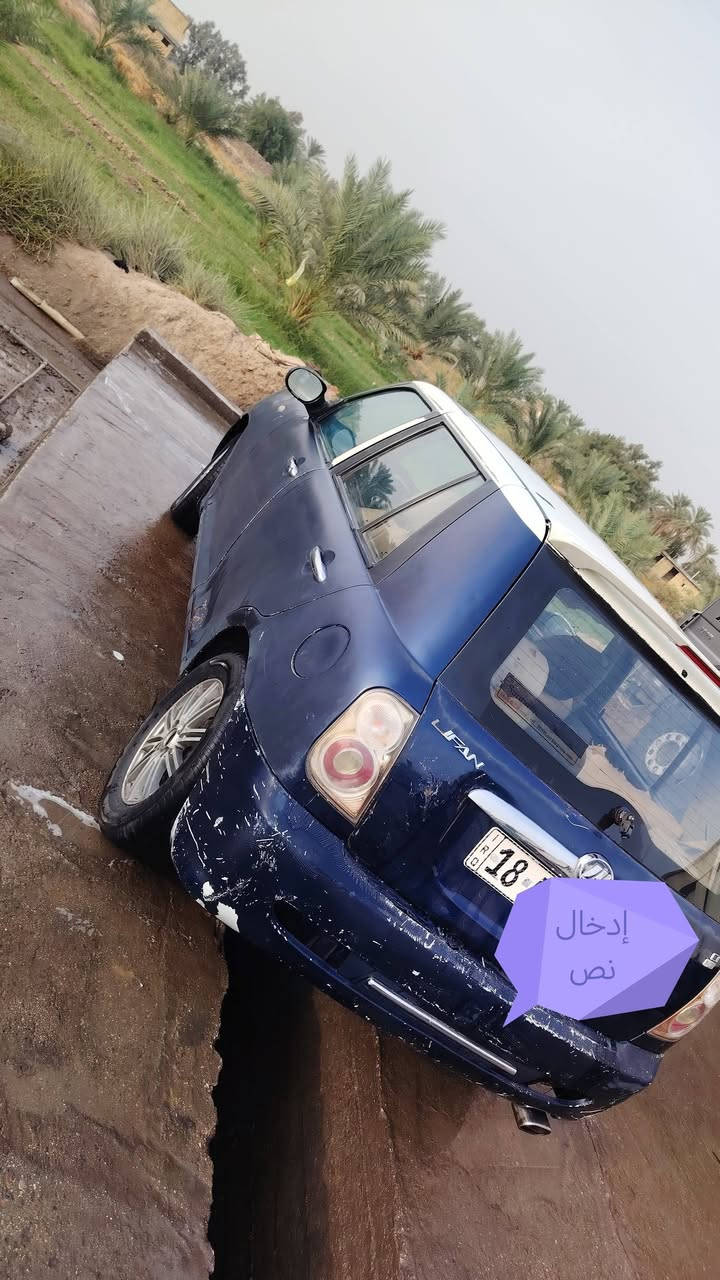 ليفان • ٢٠١٣ • رقم بابل