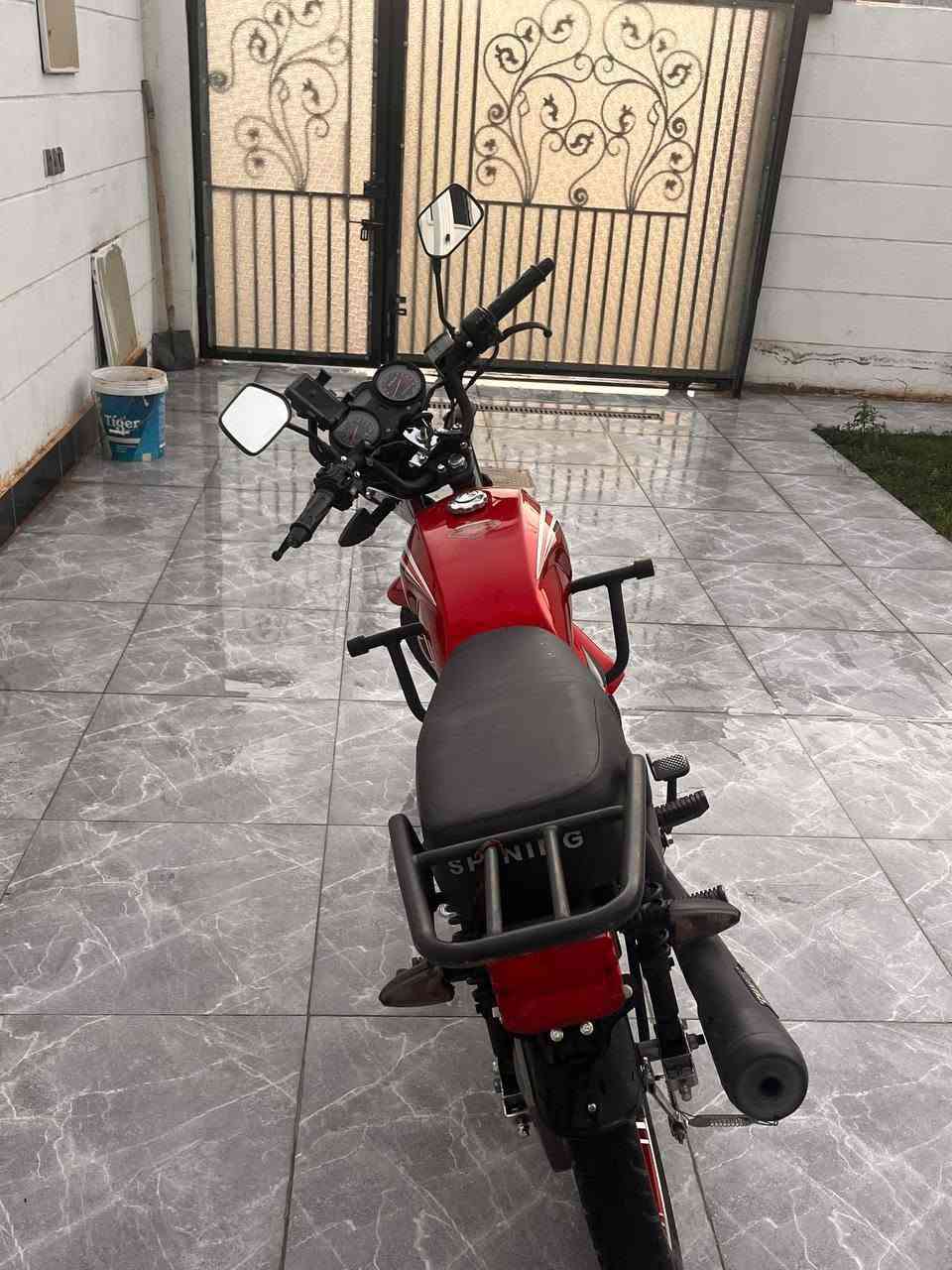 شاينك • ٢٠٢٤ • ١٠٠٠٠