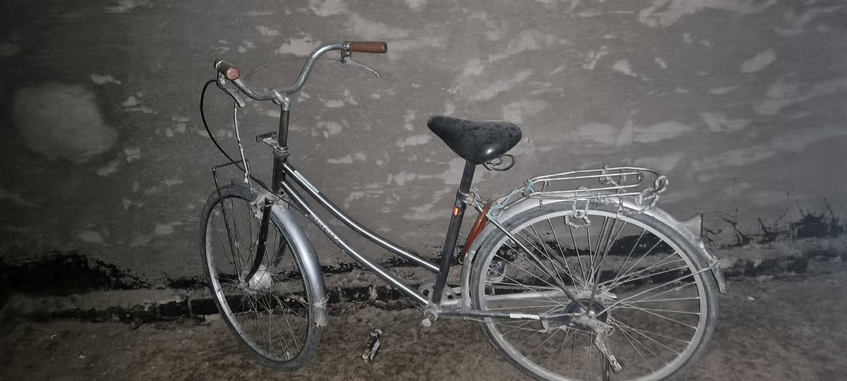 باسكل ٢٦ • نضيف • رصاصي