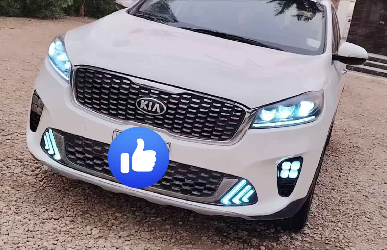 السلام عليكم ورحمة الله وبركاته 
كيا سورينتو 2020 (أبيض ملكي)
 الموديل: 2020    السعر:::215$ وبي مجال بسيط 
 اللون: أبيض
 المواصفات: خليجية
 المحرك: 6 سلندر / 3500cc
 الرقم: بغداد (تحويل مباشر بأسمي)
أبرز المواصفات:
 كشنات جلد
 كشنات كهرباء
 كاميرا خلفية
 حساسات أصلية
 نظام رادارات متكامل
 مواصفات فول كثيرة جداً وممتازة
حالة البدن (الضرر):
 سحب كارت فقط بالصندوق الخلفي 
 تعديل بارد بسيط في خشم الجاملغ جهة الصدر
 باقي السيارة مكفولة كفالة عامة من كلشي (شاصي، لغد، محرك، گير)
للإستفسار:***********   واتساب فقط

