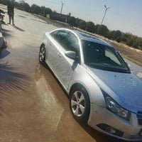 كروز • ٢٠١٠ • وارد خليجي