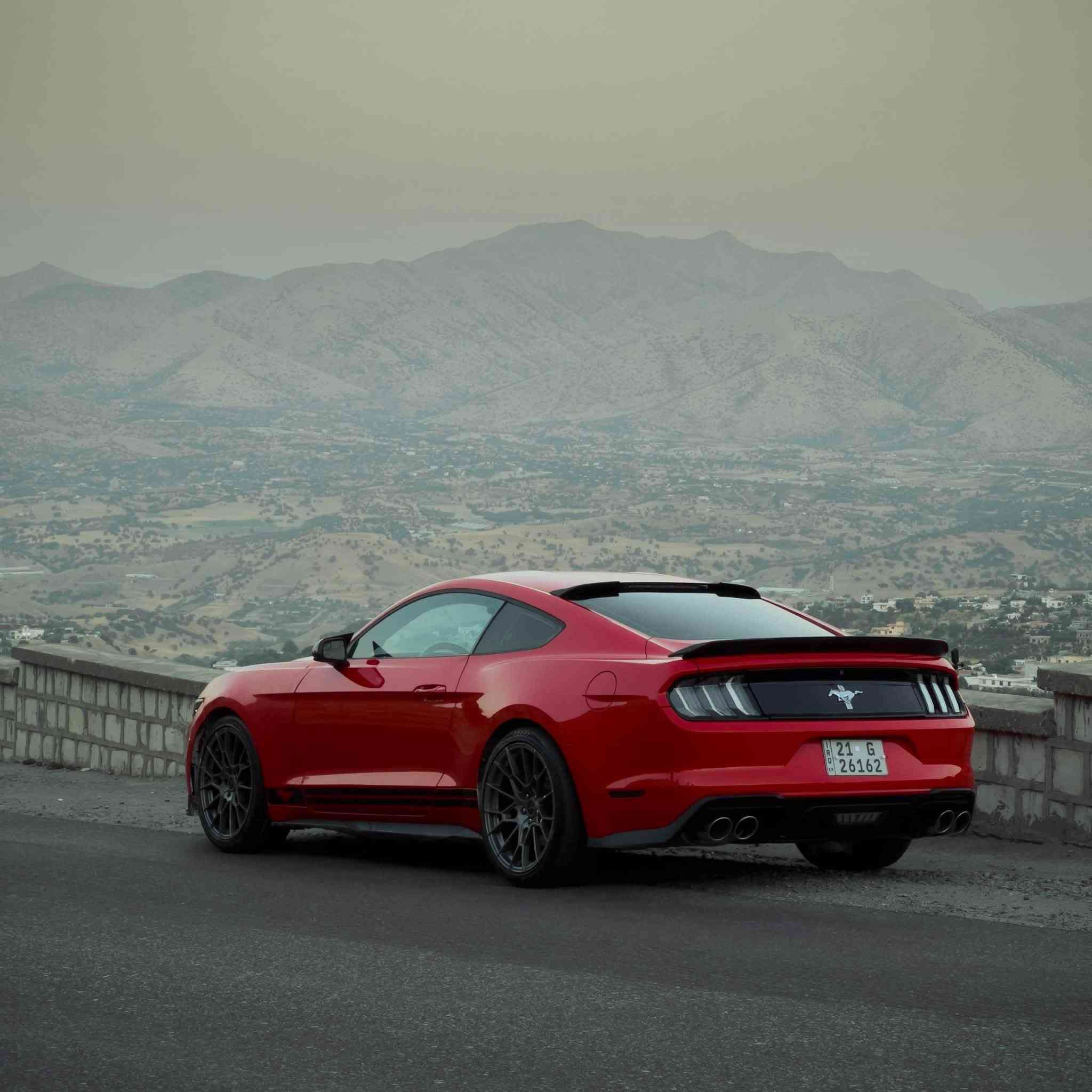 Ford Mustang 2016 V6

مكان السيارة : السليمانية 

سبويلر شيلبي جيتي ٣٥٠
بلجكترات بلاد
لحية سيرفيني
‏LED اوراكل
دواخل السيارة كلش نضيفة
دواخل كامل كاربون فايبر
دواخل كامل لدات تحكم بلاد ع دشبول
كشنات جلد اسود و احمر
دركة كاربون اصلي
دةتات تبريد شكل مميز 
مكان السماعات ستيل مميز
دشبول ٢٤ لون جيتي ٢٠٢٣
بكلايت كلير شكل اوربي
دفيوزر شيلب 
٤ صالنصة
كفر مراية باتمان
شفقة مال الجام الخلفي

سستم صوت بلاد حتى حجر بي
ويالة مميزة ٢٠ تو سايز
صبغ : ٢ قطع و وربع البنيد 
بي مصرف ٦ ورقات ارجعلكيا مباشر ورا المعاملة
سعر السيارة ١٣٨$
واتساب : ***********

Shwen : slemani 
 

* Ger automatic
* La7ya  CERVINI
* Diffuser shelby
* 4 salosna 
* Bali shelby gt350
* Blajktor bilady
* Awena batman
* LED oragl 
* Nawaway sayaraka zor jwan w pak mawatawa
* Gech GT premium 2023
* Kushn jld swr + rash
* Kushn karaba
* System LED lasar bilad w gech esh aka 24 ranga (barqach + dashbl + shwen logoy sakn 
* Swkan carbon-fiber asli
* Kaml nawaway karawa ba carbon-fiber
* Shwen dkty tabredakan bo ezafa krawa ba design eki taibat 
* Shwen sama3akan kaml gorawa baw shewazi stel a jwana
* StopLight y Clear y Europe y 
* Backlight y LED
*  Bali sar jamy dwawa
* Weleki taibatw dagman - 2size 
* Sayaraka zor jwana

Boyax : 2 parcha w rwb3eki bonitaka 
Masrwf : 6 galay tyaya bot agareninawa das ba je 

Nrx : 138$ ma3amalayaki kam
WhatsApp : ***********
