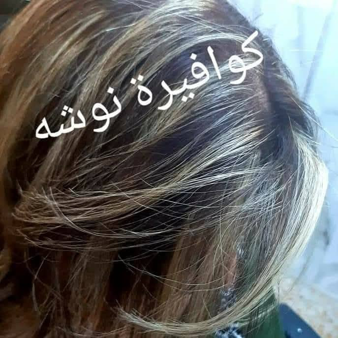 صباح الخير
صبغ شعر قصير جدا  10 قصير 15 وسط 20

ميش شعر قصير جدا 10 قصير 15 وسط 20 

شمع وحف 5

تنضيف بشره 5

تنضيف قدم 5

رموش اصليه اسبوعيه 10

واكس جسم كامل 25

قص شعر 5

الحجز مسبق ***********

دي 8 شقه 42 سرداب ثاني شقه على يمين

