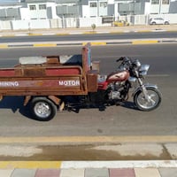 ستوته • موديل16 • مكفوله