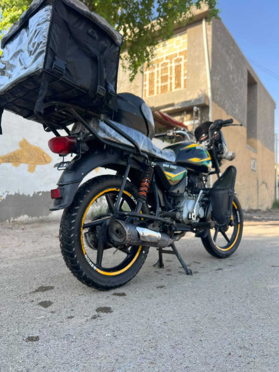 بوكسر • ٢٠٢١ • بدون أوراق