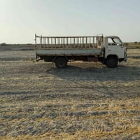 داينه • شاحنة • للبيع