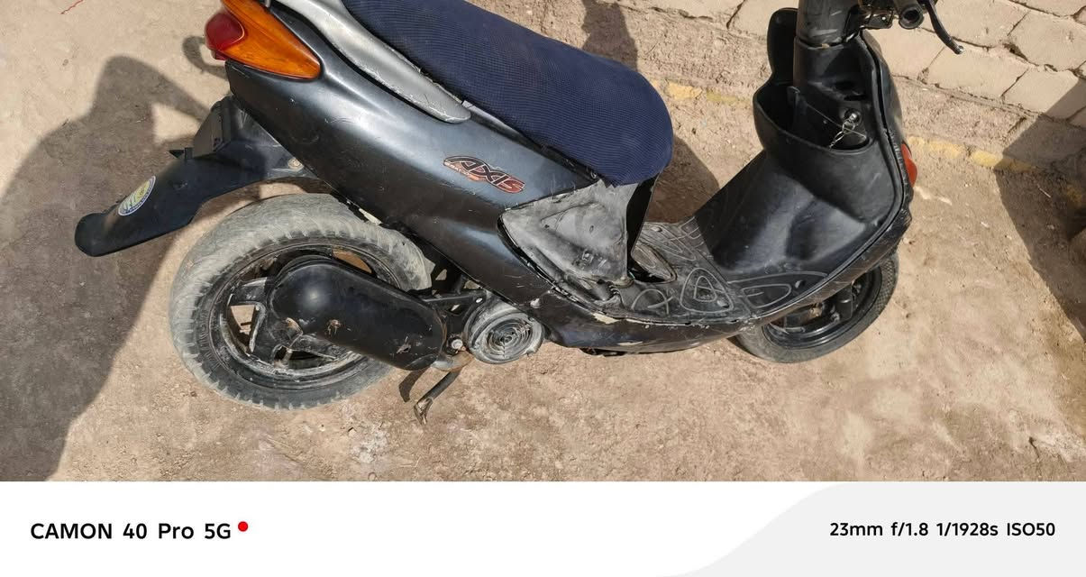 دولفين • للبيع • تواصل خاص