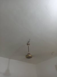 مراوح سقفية • بيضاء • كربلاء