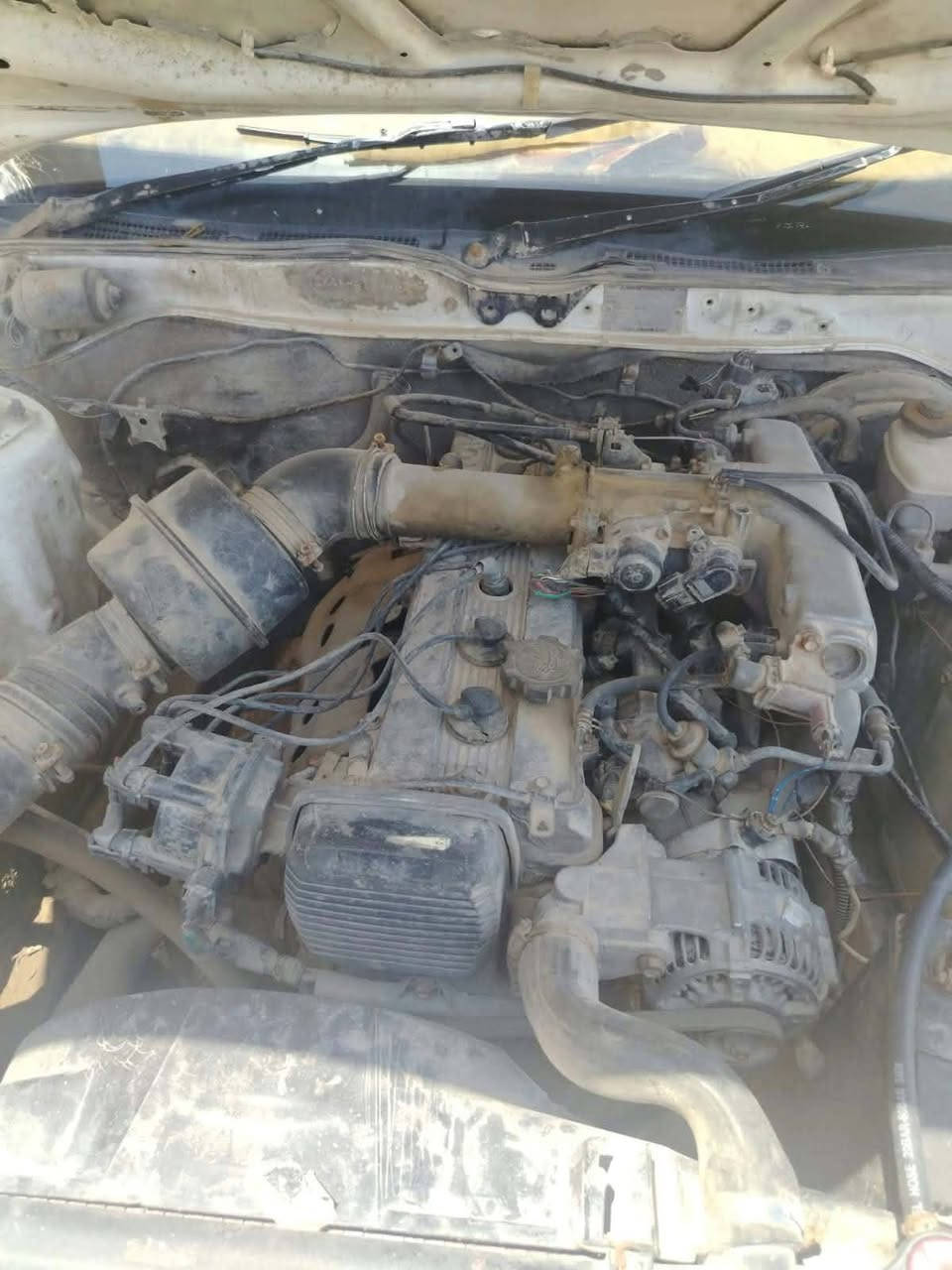 شيزر • ٩٣ • قضاء السوير