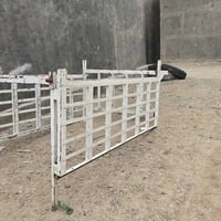 بغداد المعامل • اركيلة • جديد