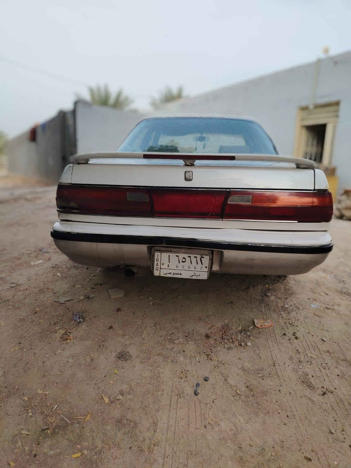 شيرز • ٩٤ • رقم ديالى
