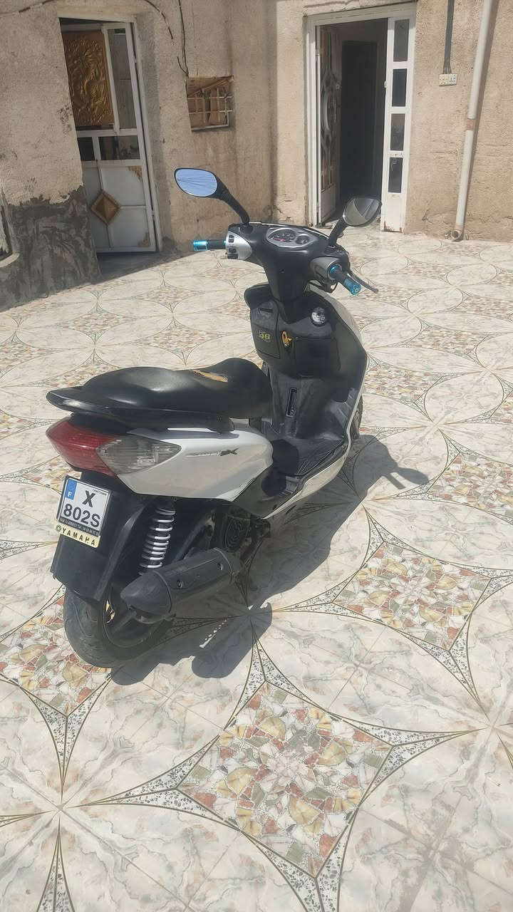 سكنس نثيه • كله شغاله • سلف
