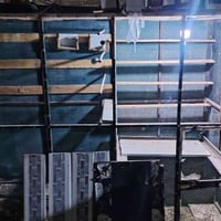قفص • ٢م ارتفاع • مقسوم لقفصين
