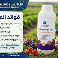 🌸 تزهير السدر الآن …  تعتبر أهم مرحلة تحدد إنتاج الموسم بالكامل   🍃 مع...