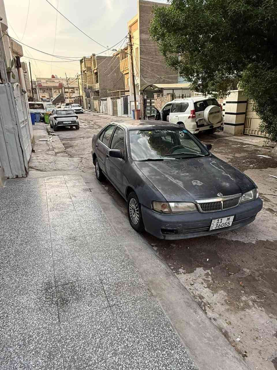 صني • ١٩٩٩ • المشتل