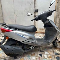 بريز ببغاء نوزل • ٢٠١١ • ١٢٥
