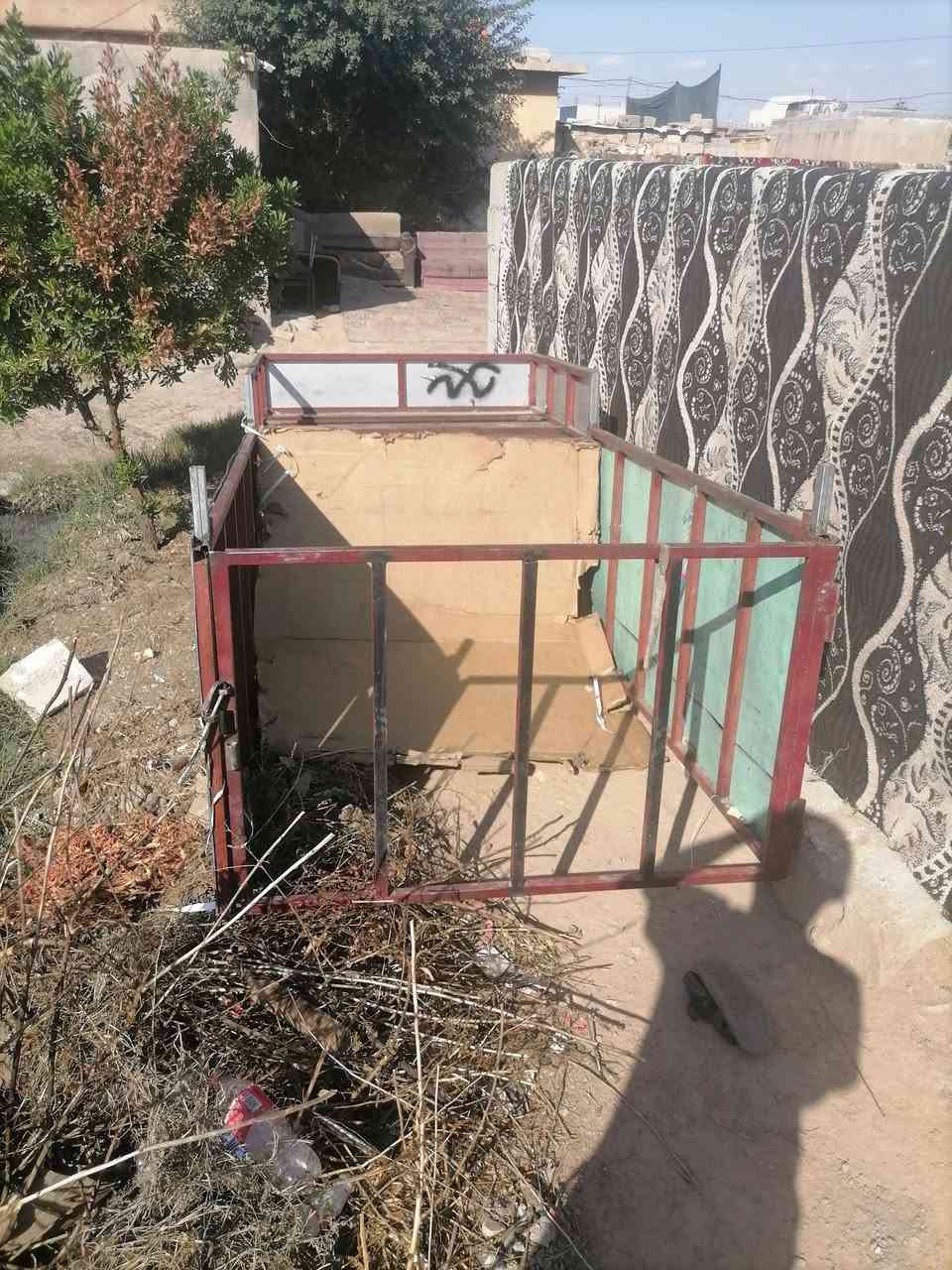 ستوته • حلو مرتب • ما بي عيب