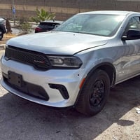 دورنكو بوليسي • ٢٠٢٥ • ٢٤ الف كم