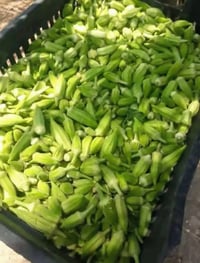 باميه • تمر • زيتون
