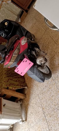 سكنس لد • نضيفه • كفاله عامه
