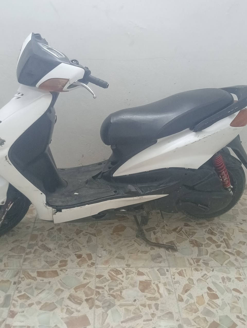 سكنس نثية • معدل • ١٤٠