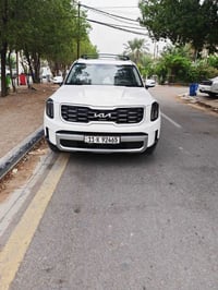 تلرايد ٢٠٢٤ • جلد • ٧ راكب